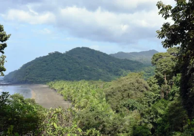 Parque Nacional Darién: El Tesoro Natural de Panamá